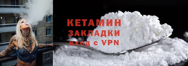 гашик Няндома