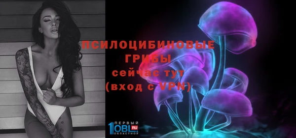 ешки Алексеевка