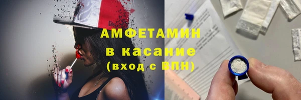 гашик Няндома