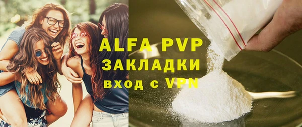 гашик Няндома