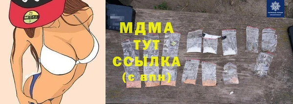 гашик Няндома