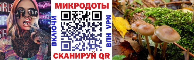 ссылка на мегу вход  Спасск  Галлюциногенные грибы ЛСД  даркнет сайт 